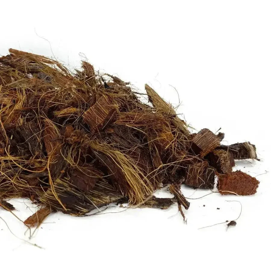 Komodo Living Natural Coconut Chip Reptile Bedding Brick - Talis Us