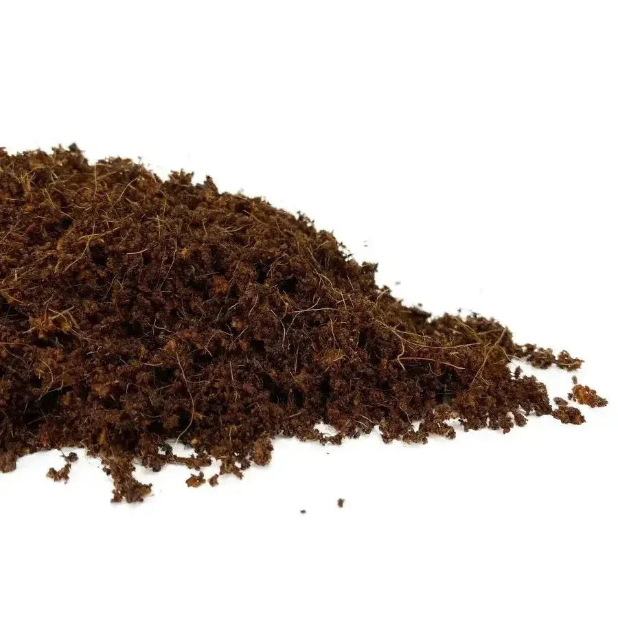Komodo Living Natural Coconut Coir Reptile Bedding Brick - Talis Us