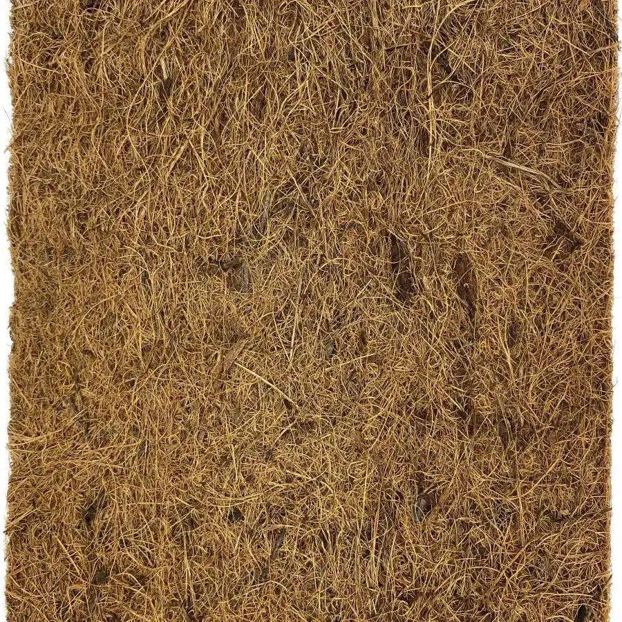 Komodo Living Natural Coconut Fiber Terrarium Liner - Talis Us