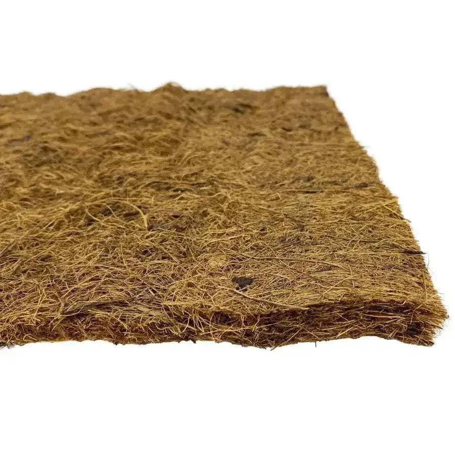 Komodo Living Natural Coconut Fiber Terrarium Liner - Talis Us