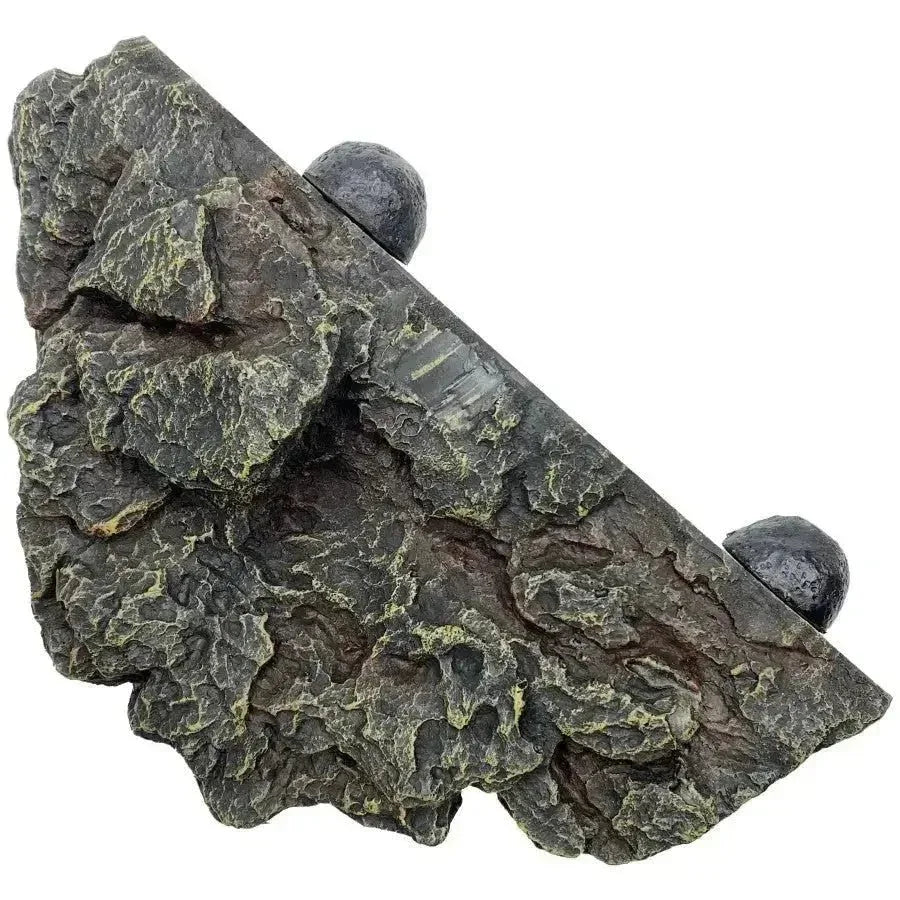 Komodo Magnetic Gecko Ledge 10In X 7 in - Talis Us