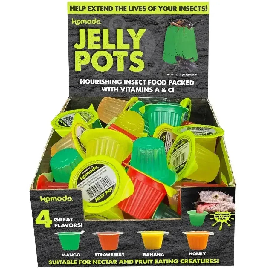 Komodo Natural Jelly Pots Insect Food Fruit Flavor Display 40 ct - Talis Us