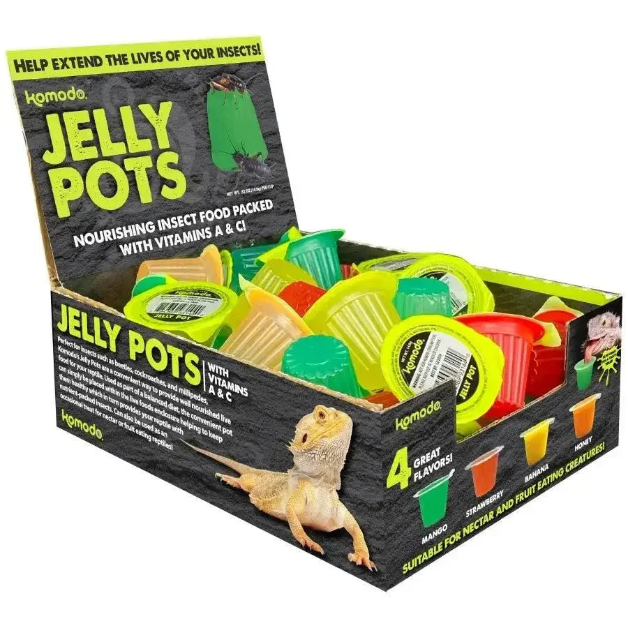 Komodo Natural Jelly Pots Insect Food Fruit Flavor Display 40 ct - Talis Us