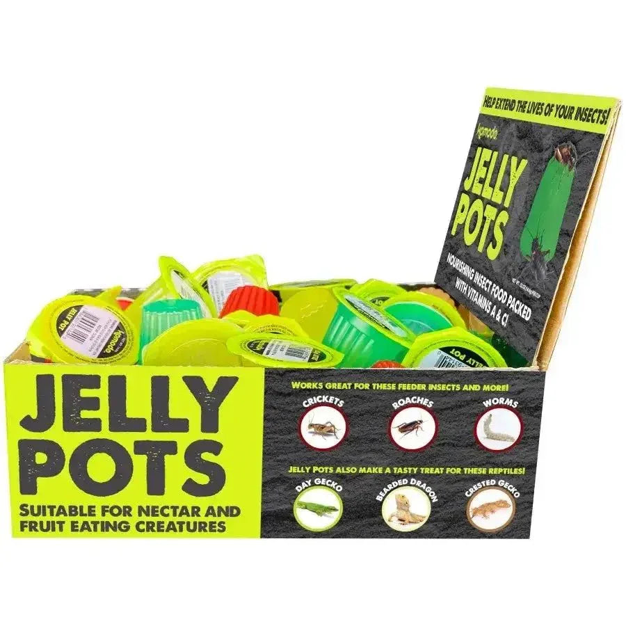 Komodo Natural Jelly Pots Insect Food Fruit Flavor Display 40 ct - Talis Us