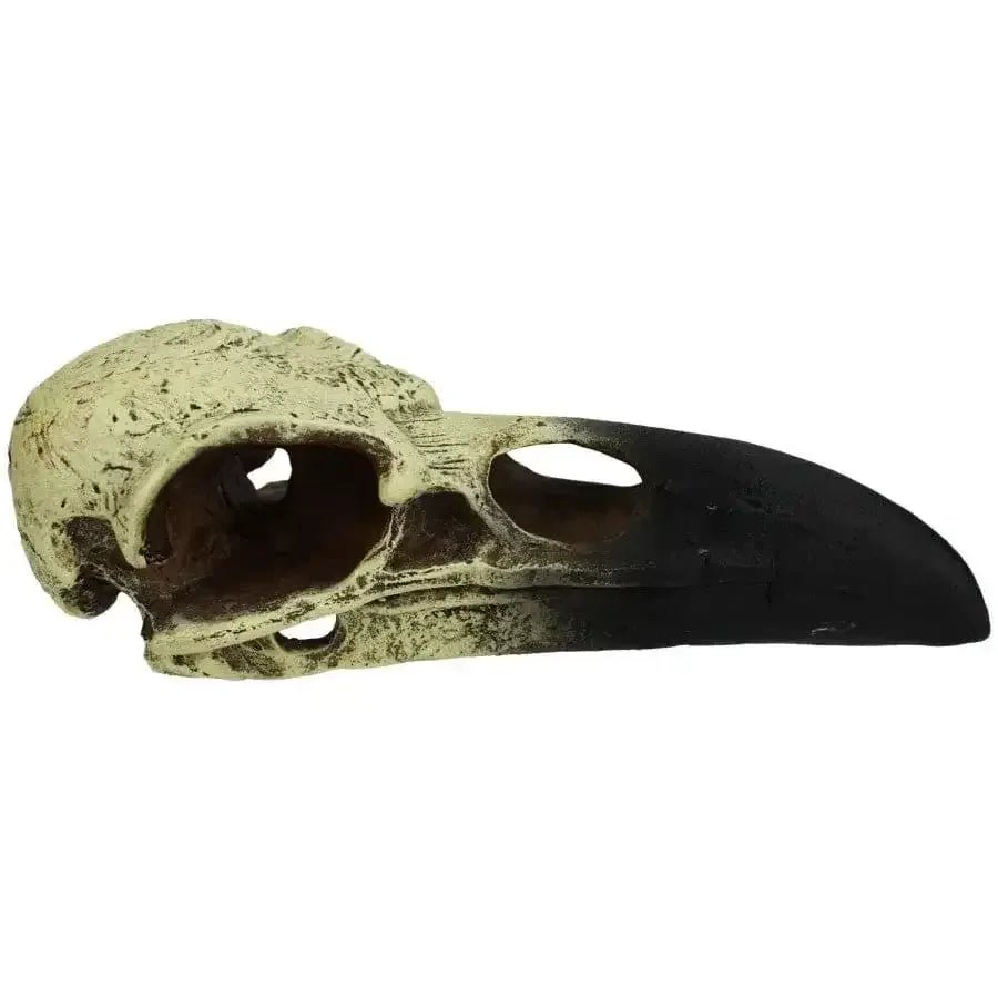 Komodo Raven Skull Hideout - Talis Us