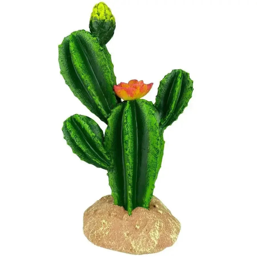 Komodo Reptile Terrarium Cactus Plant Ornament & Habitat Decoration - Talis Us