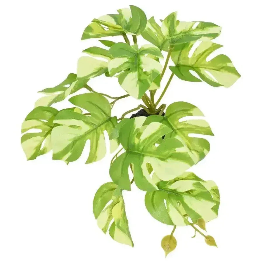 Komodo Standing Varigated Monstera Fake Plants for Reptile Enclosures 5 in - Talis Us