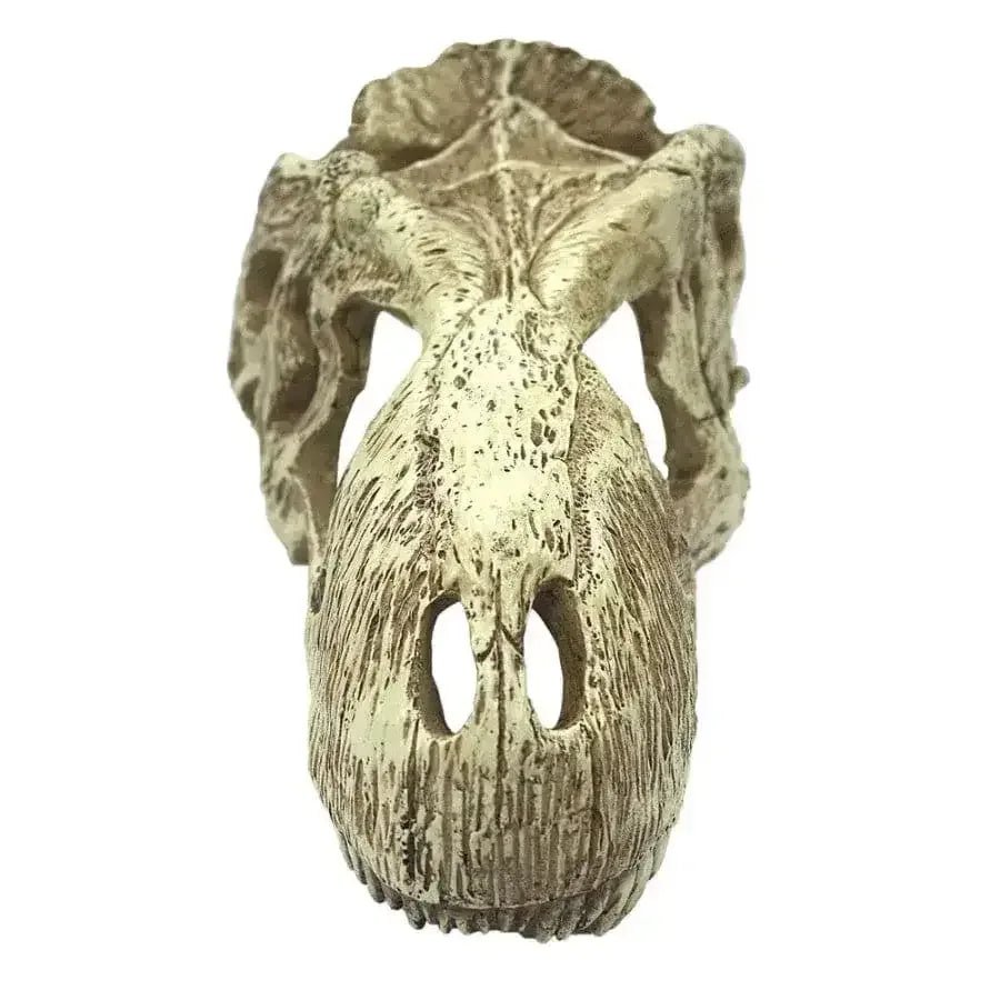 Komodo T - Rex Skull Reptile Hideout - Talis Us