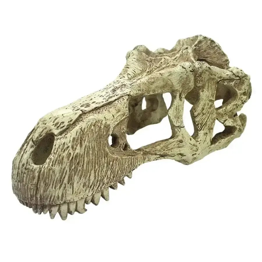 Komodo T - Rex Skull Reptile Hideout - Talis Us