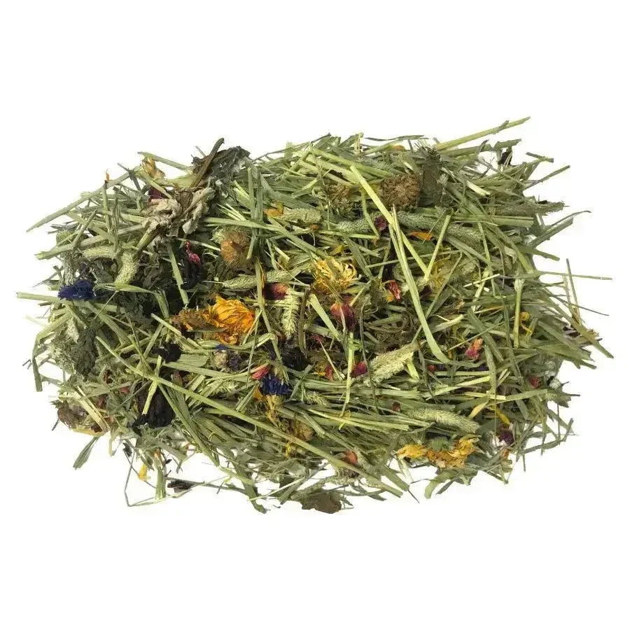 Komodo Tortoise Hay w/Wildflowers 24 oz - Talis Us