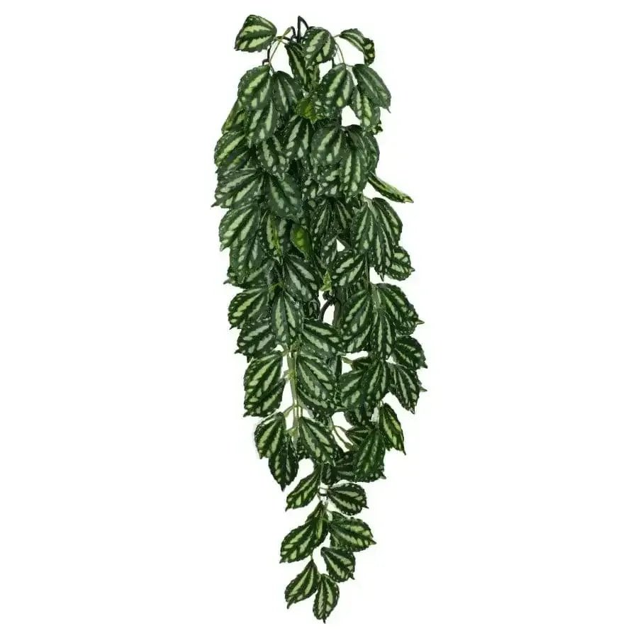 Komodo Two - Toned Leaf Hanging Plant - Talis Us