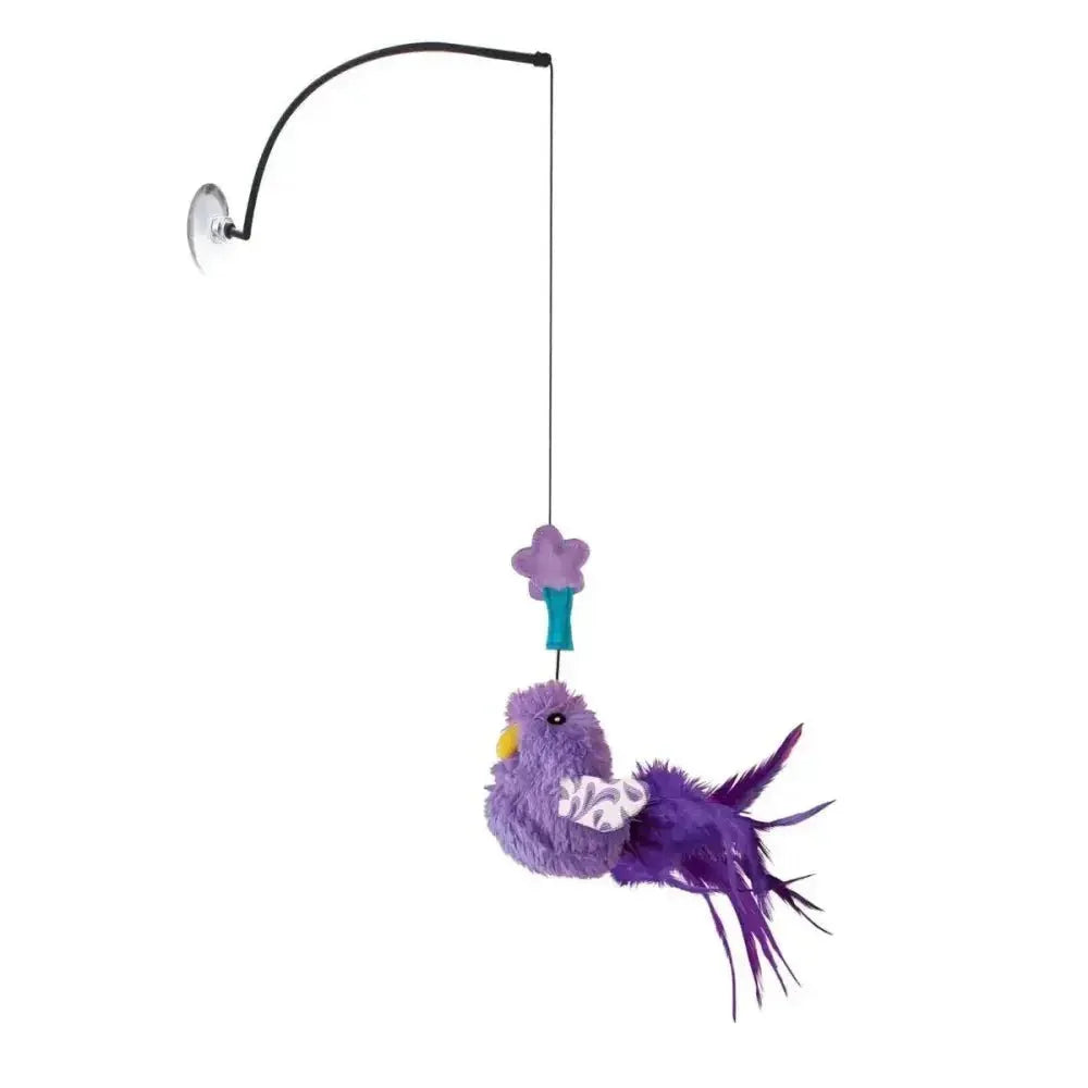 KONG Connects Window Teaser Assorted Cat Toy - Talis Us