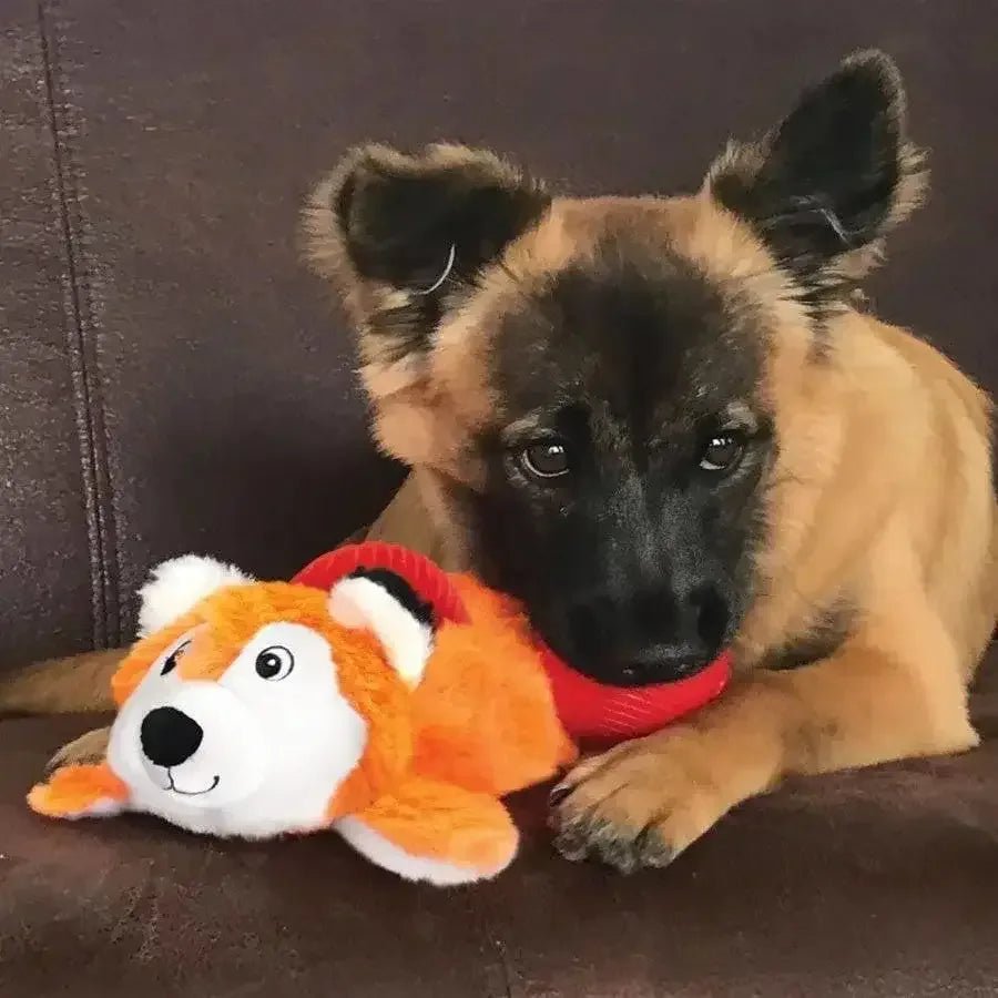 KONG Cozie Pocketz Dog Toy - Talis Us