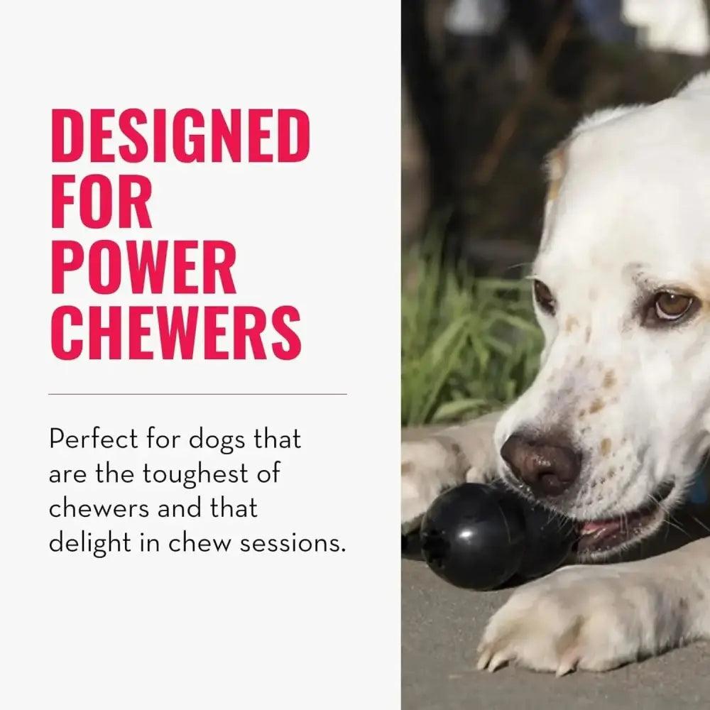 Kong Extreme Goodie Bone Dog Toys Black Kong®