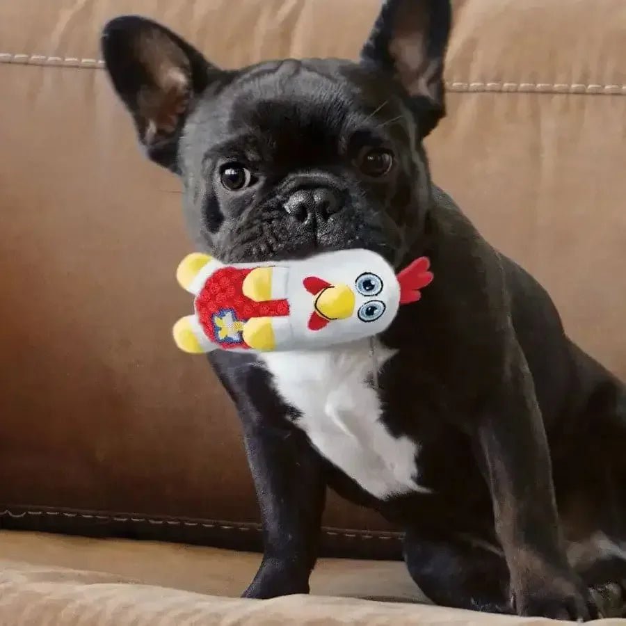 KONG Huggz Farmz Dog Toy - Talis Us