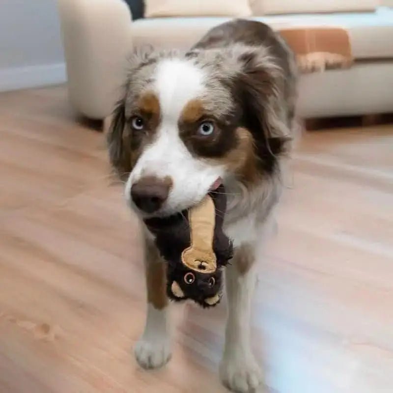 KONG KONG Snuzzles Mini Plush Dog Toys for Puppies & Small Dogs - Talis Us