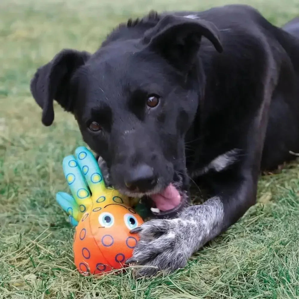 KONG Shieldz Tropics Dog Toy - Talis Us