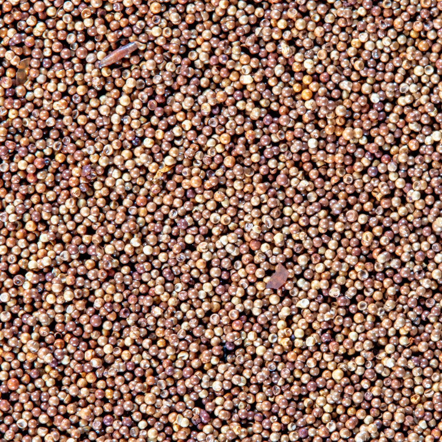 Brine Shrimp Eggs for Baby Fish - San Francisco Bay Brand® 6 Gm Pack