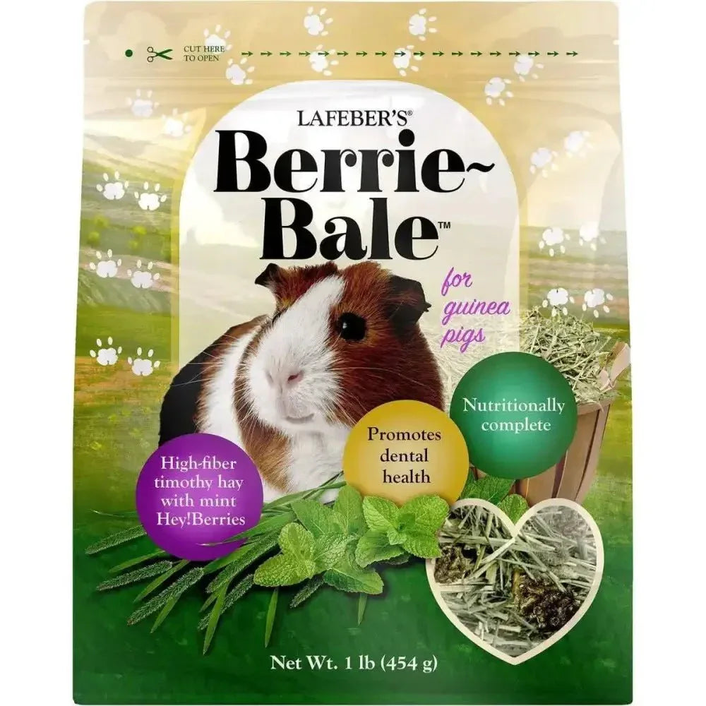 Lafeber Company Berrie - Bale for Guinea Pigs Mint 1 lb - Talis Us
