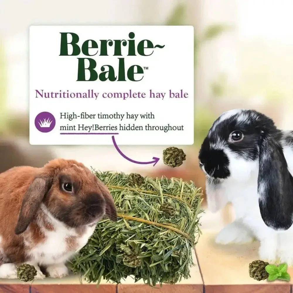 Lafeber Company Berrie - Bale for Rabbits Mint 1 lb - Talis Us