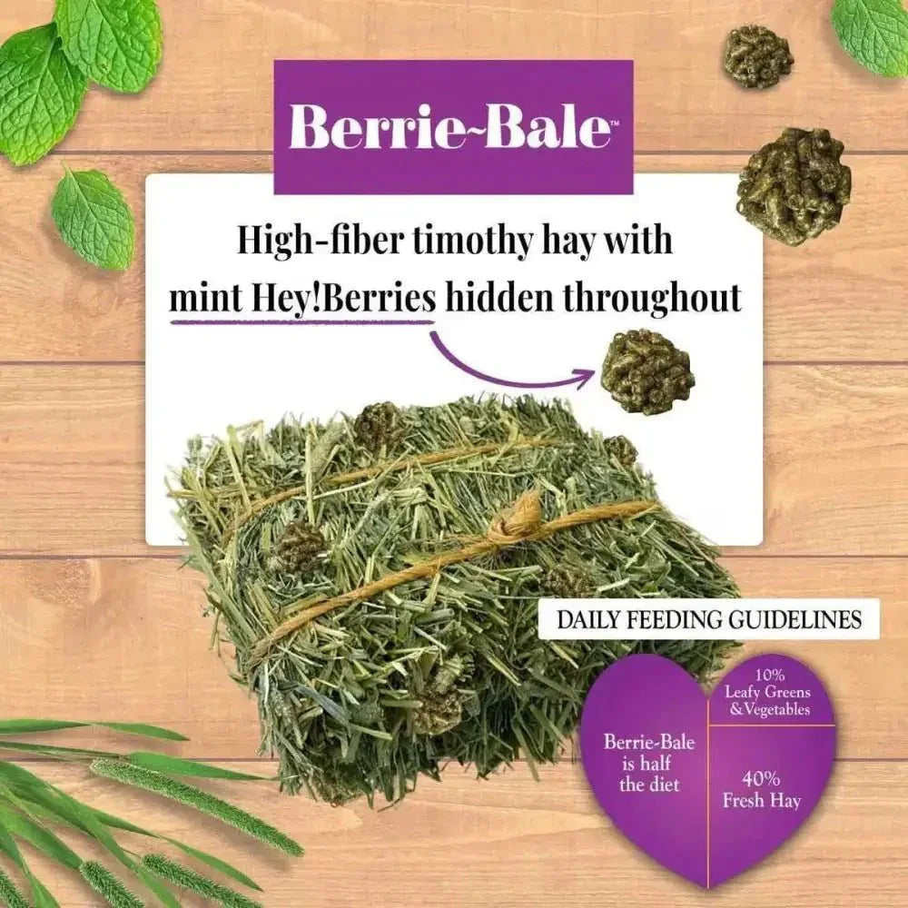 Lafeber Company Berrie - Bale for Rabbits Mint 1 lb - Talis Us