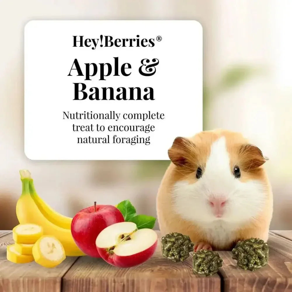 Lafeber Company Hey! Berries Guinea Pig Food Apple & Banana - Talis Us