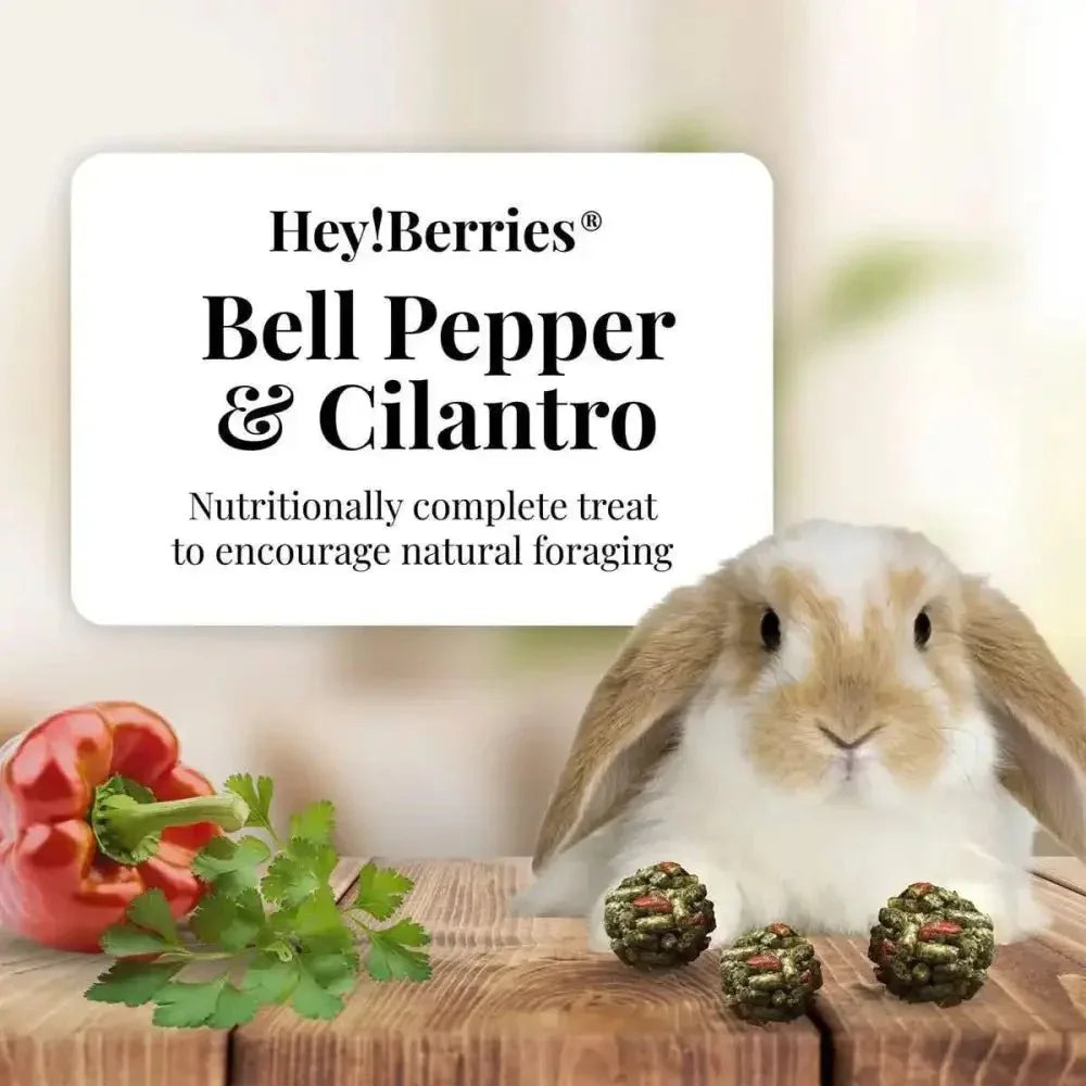 Lafeber Company Hey! Berries Rabbit Food Bell Pepper & Cilantro - Talis Us
