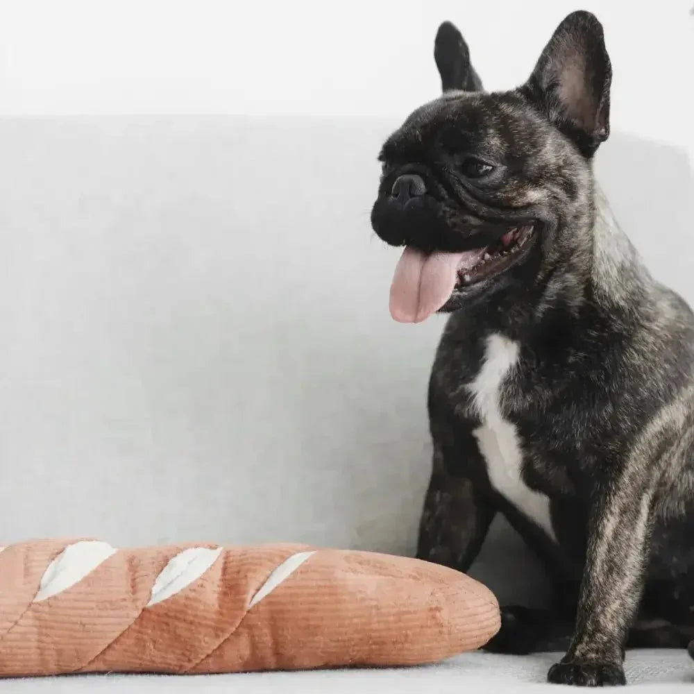 Lambwolf Collective Baguette Squeaky Interactive Dog Toys - Talis Us
