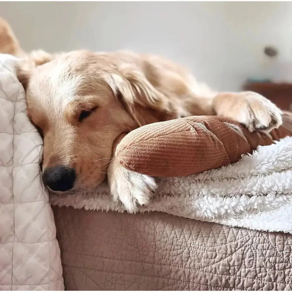 Lambwolf Collective Baguette Squeaky Interactive Dog Toys - Talis Us