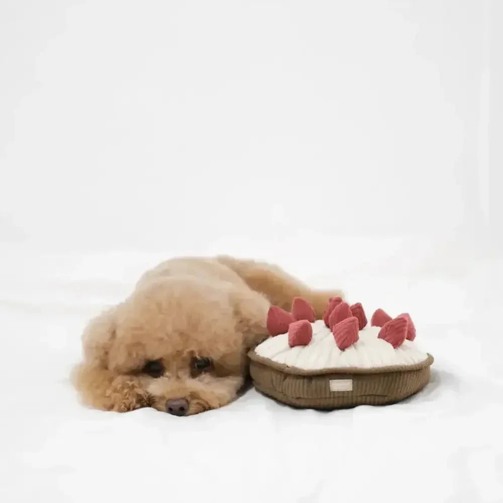 Lambwolf Collective Berry Pie Squeaky Interactive Dog Toys - Talis Us