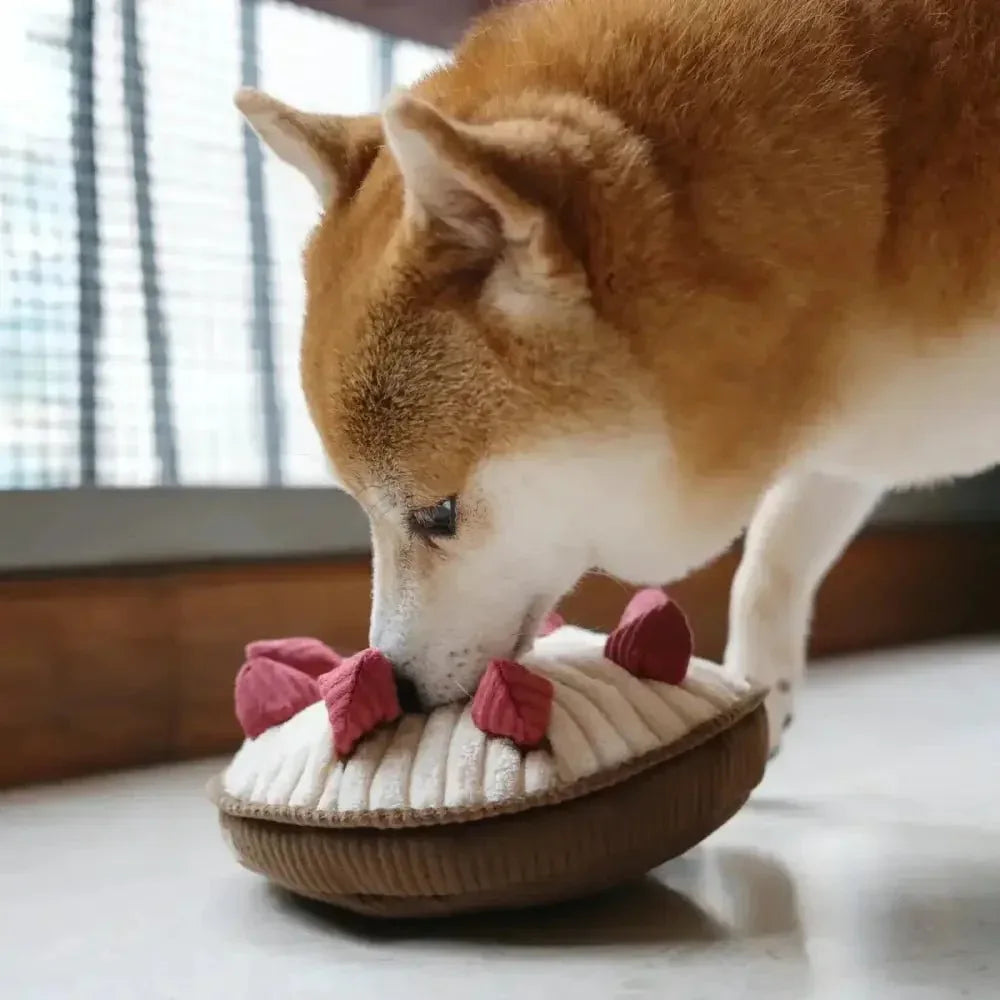 Lambwolf Collective Berry Pie Squeaky Interactive Dog Toys - Talis Us