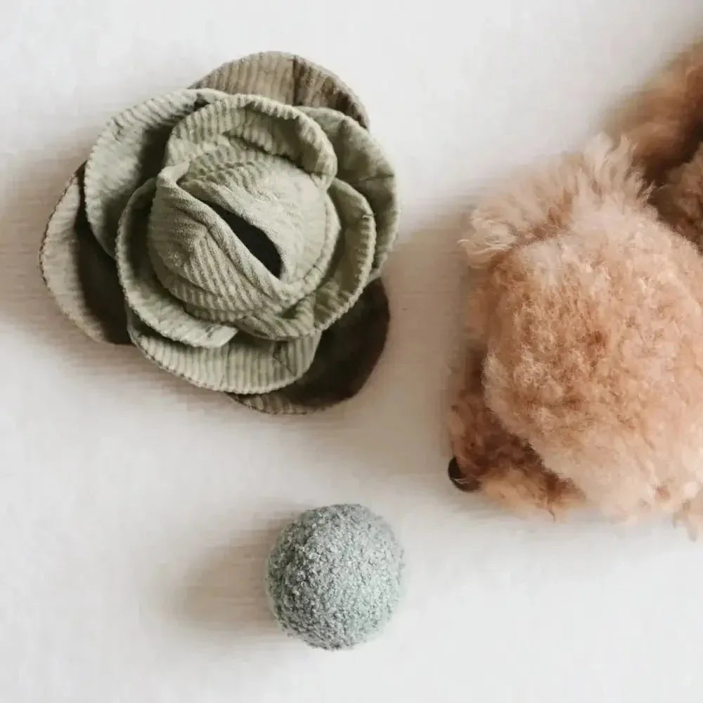 Lambwolf Collective Cabbage Pop Squeaky Interactive Dog Toys - Talis Us
