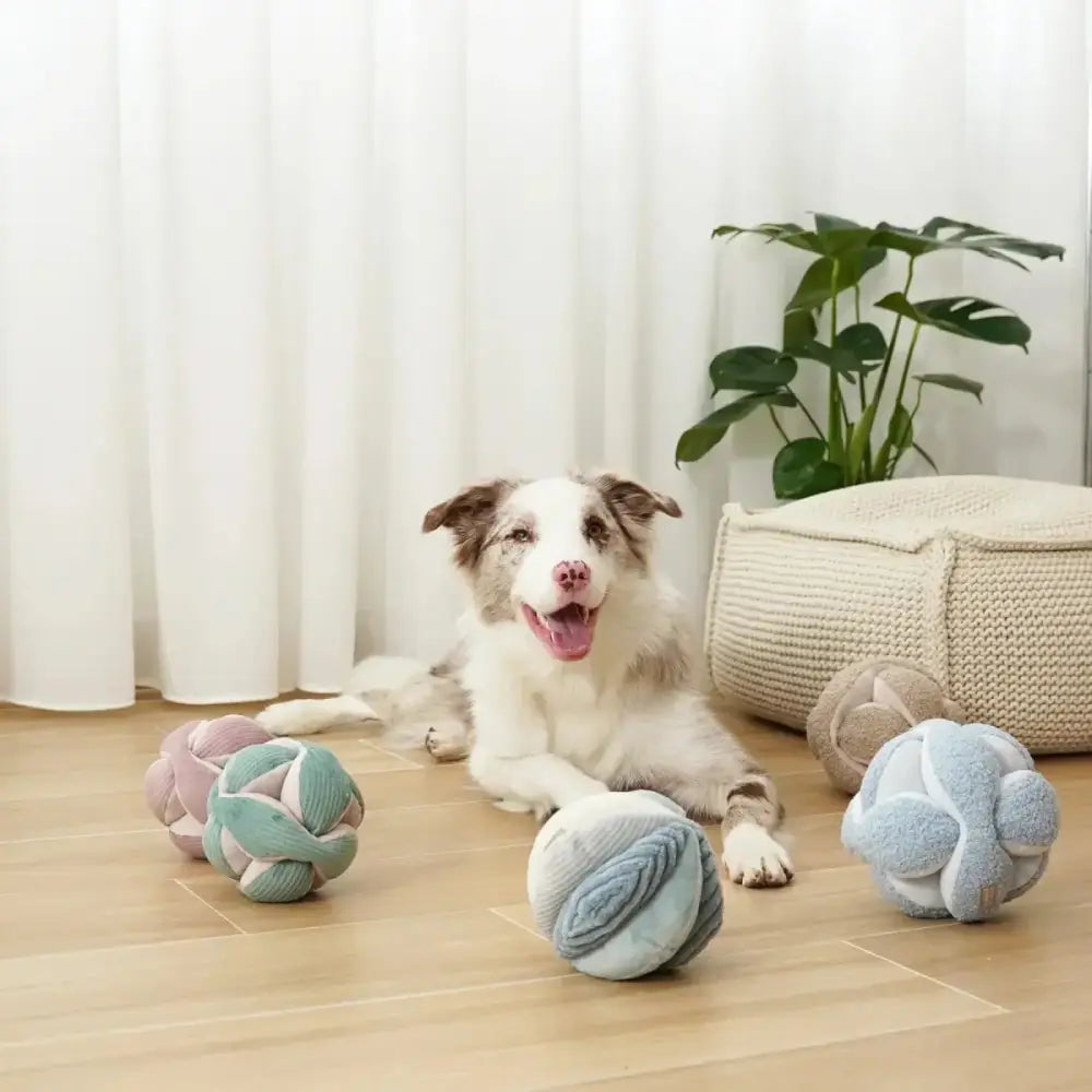 Lambwolf Collective Monti Squeaky Interactive Dog Toys - Talis Us