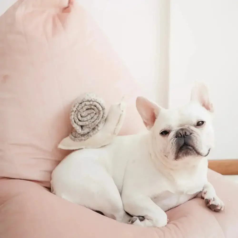 Lambwolf Collective Snail Squeaky Interactive Dog Toys - Talis Us