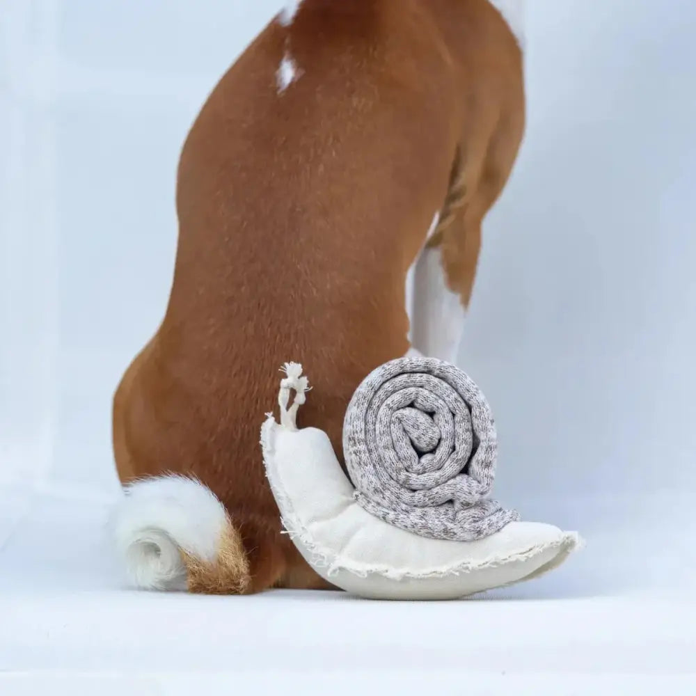 Lambwolf Collective Snail Squeaky Interactive Dog Toys - Talis Us