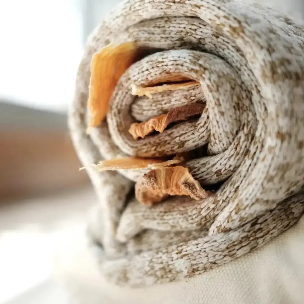 Lambwolf Collective Snail Squeaky Interactive Dog Toys - Talis Us