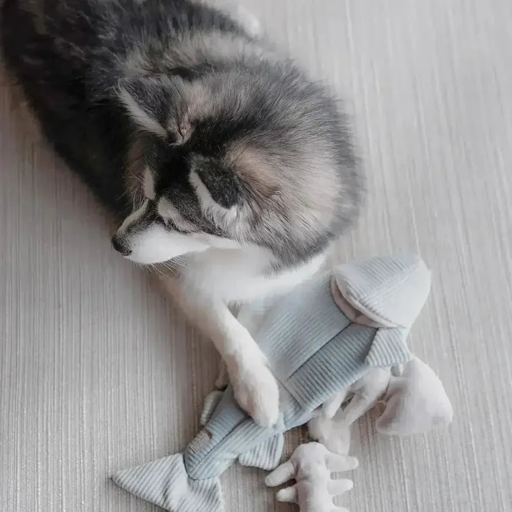 Lambwolf Collective Trout Squeaky Interactive Dog Toys - Talis Us