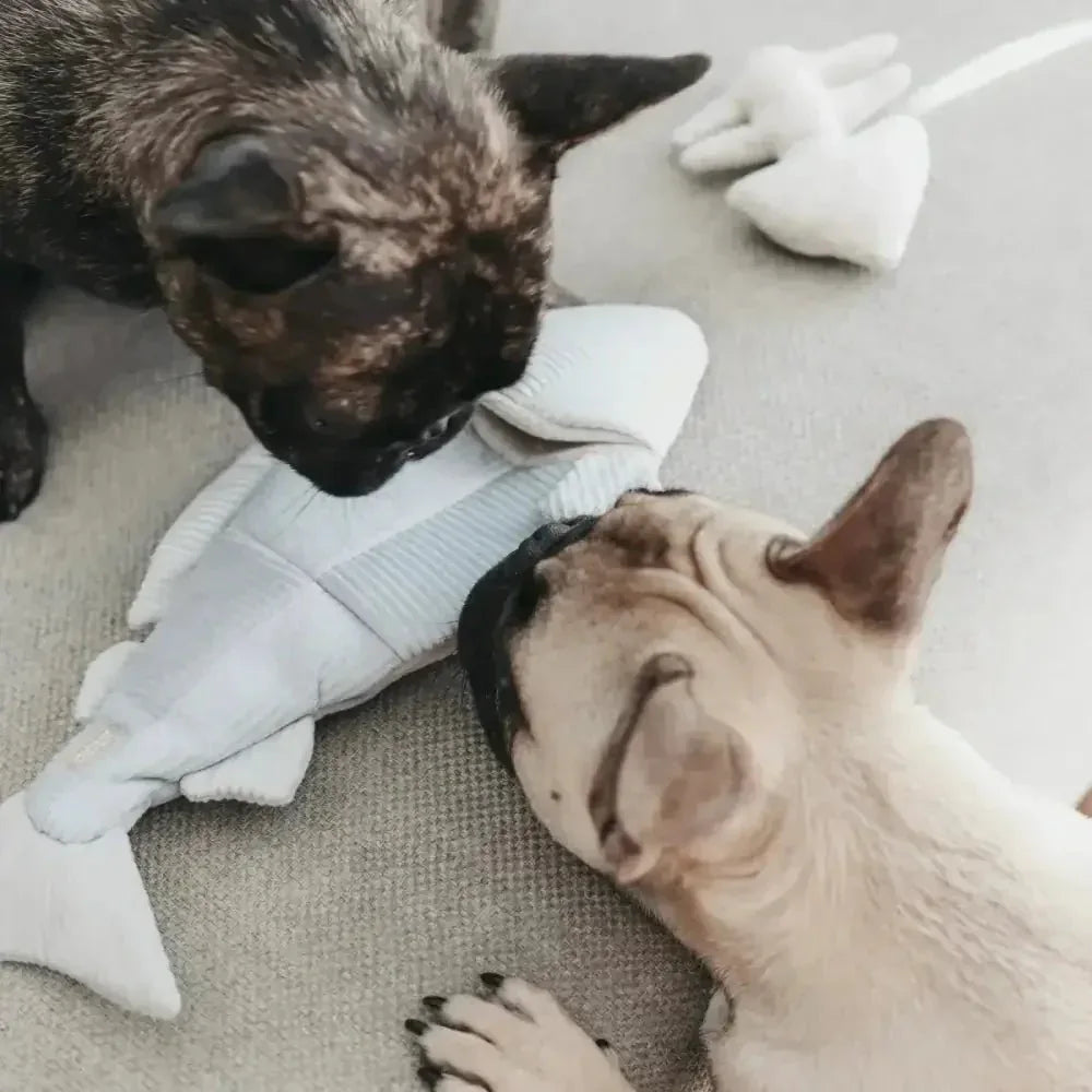 Lambwolf Collective Trout Squeaky Interactive Dog Toys - Talis Us