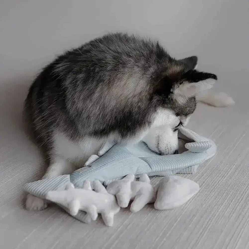 Lambwolf Collective Trout Squeaky Interactive Dog Toys - Talis Us