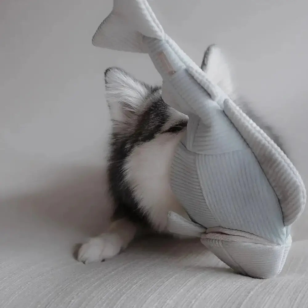 Lambwolf Collective Trout Squeaky Interactive Dog Toys - Talis Us