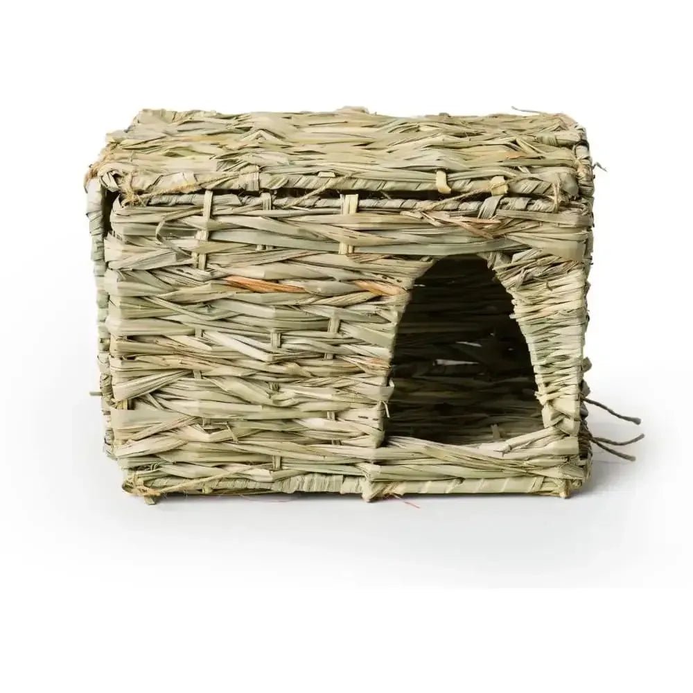 Large Grass Hut - Talis Us