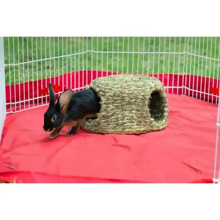 Large Oval Rabbit Hut - Talis Us