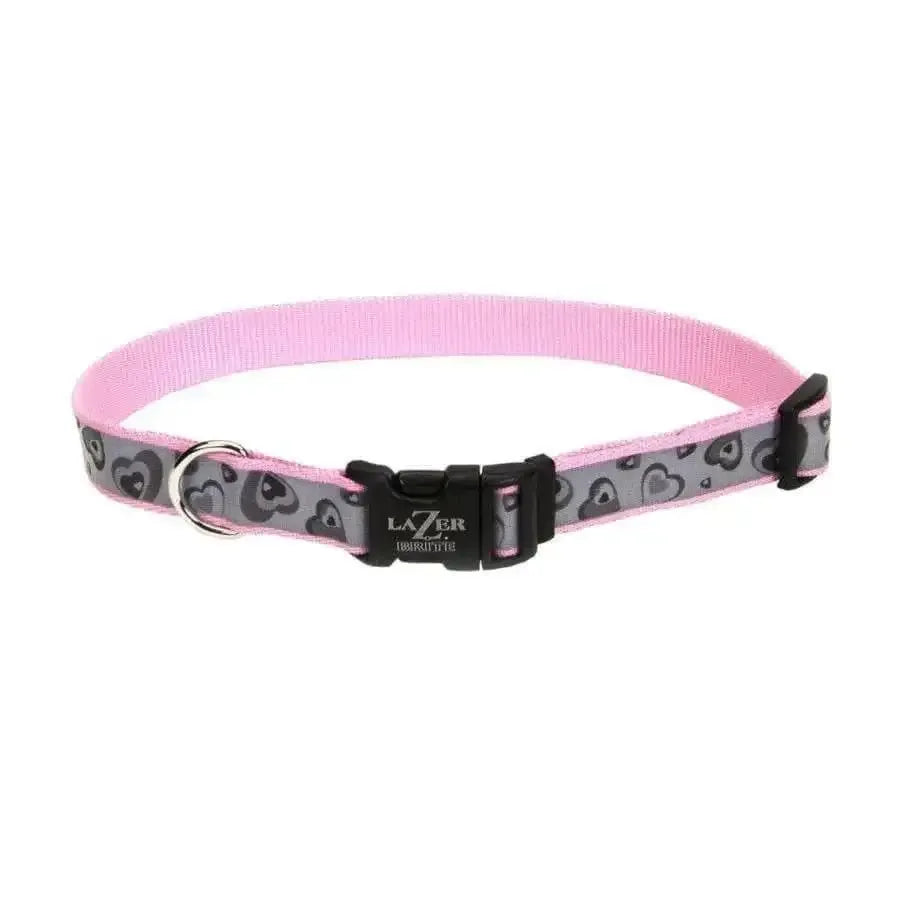 Lazer Brite Reflective Adjustable Dog Collar Lazer Brite CPD