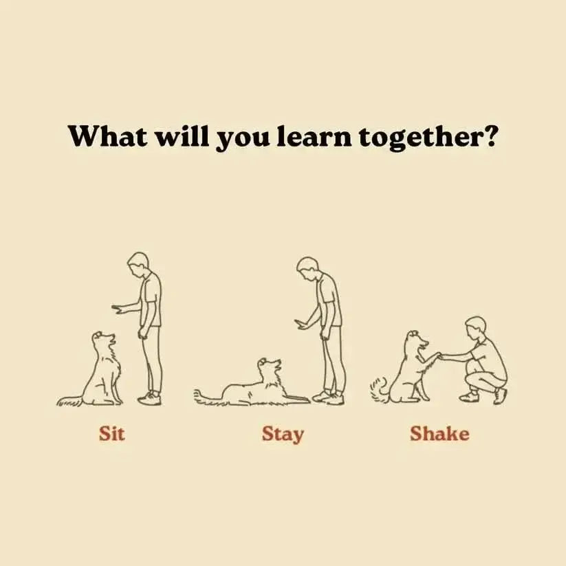 Off Leash Mini Trainers Dog Training Treats - Talis Us