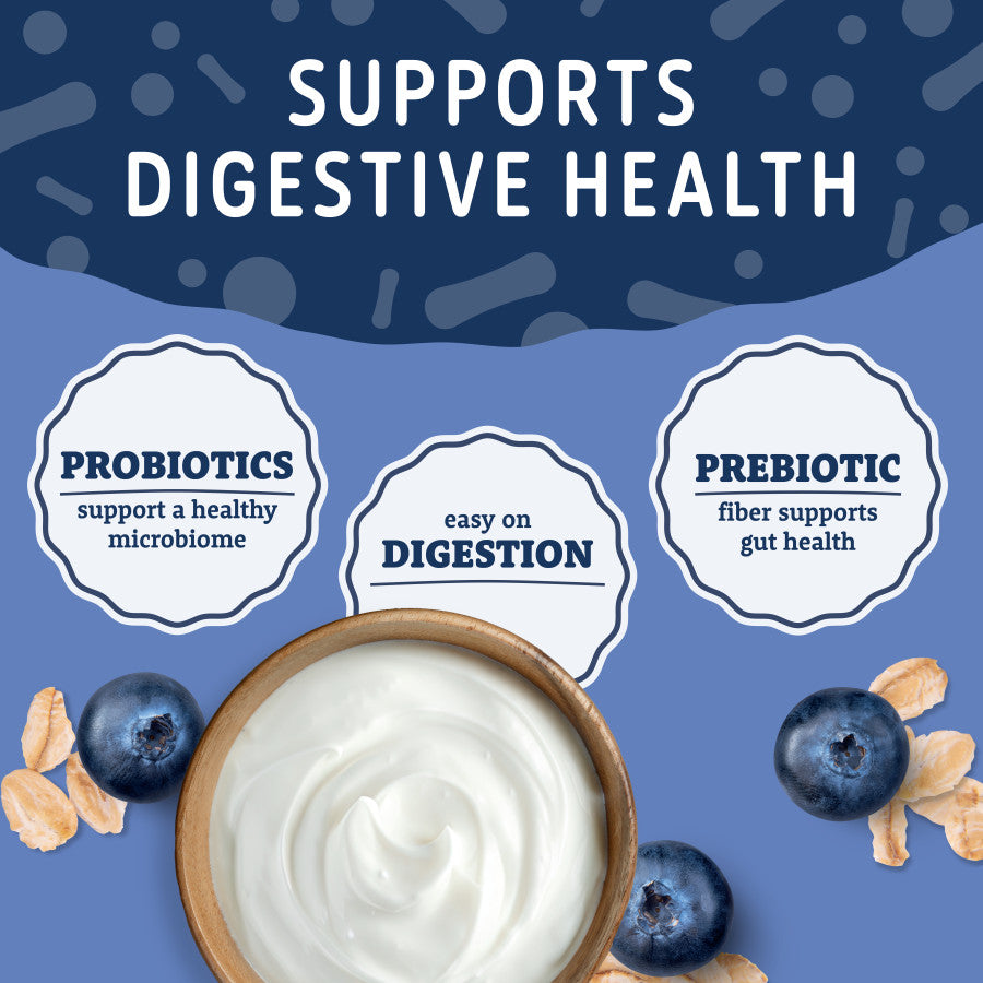Bowl of creamy white yogurt surrounded by blueberries and oats illustrating digestive health benefits with probiotic and prebiotic labels