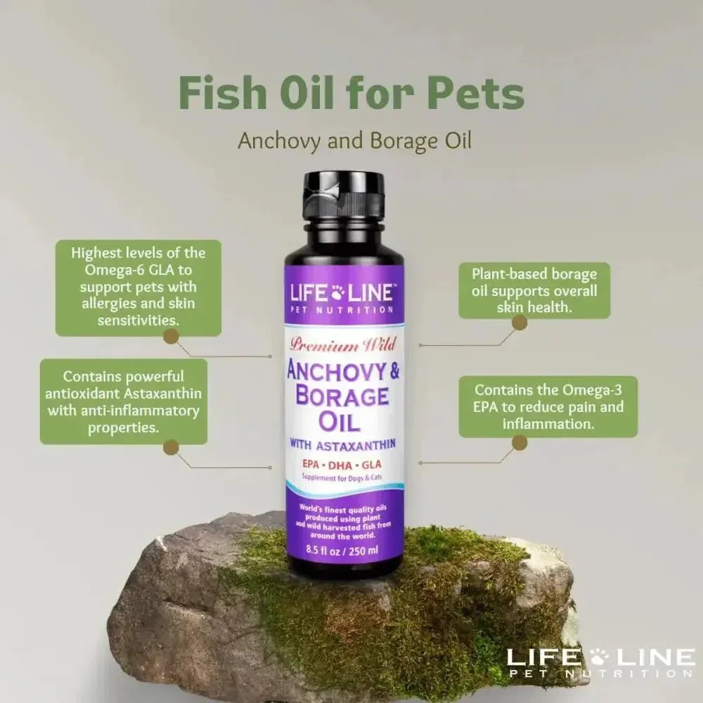 Life Line Pet Nutrition Wild Anchovy/Borage Premium Fish Oil Supplement for Dogs and Cat - Talis Us