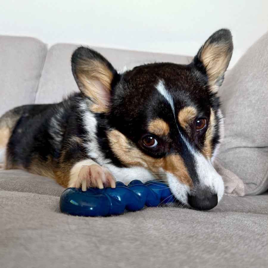 Nylabone Power Chew Love Our Oceans Infinity Braid Bone Dog Chew Toy