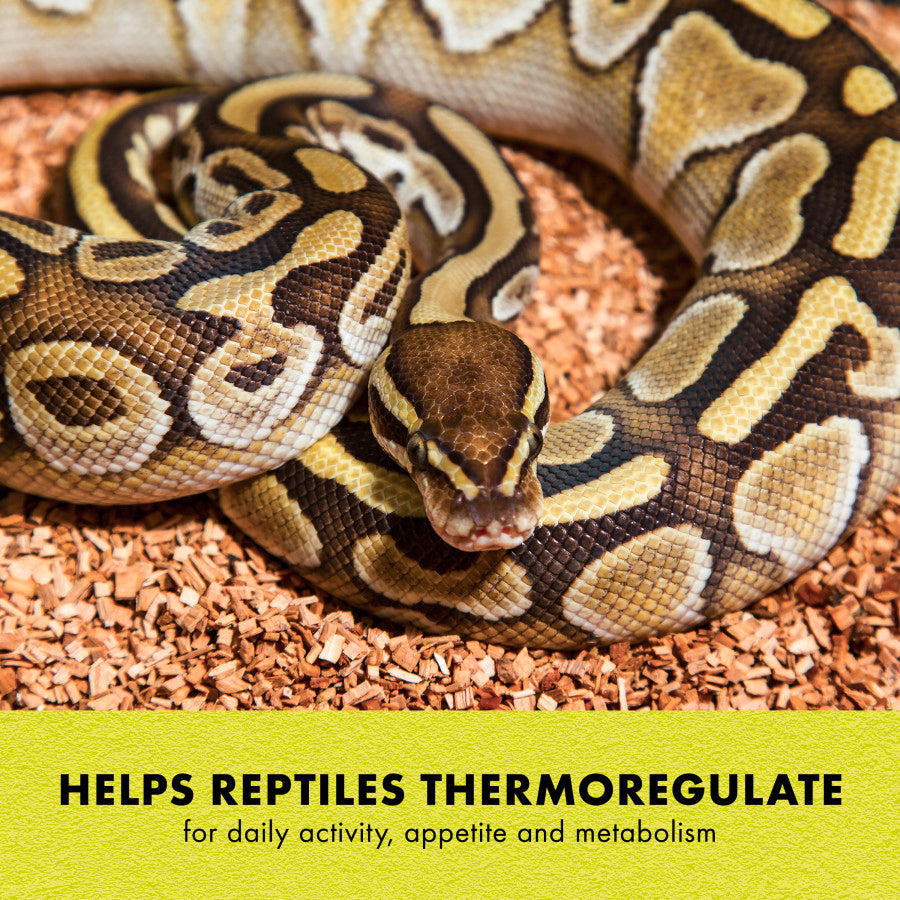 Zilla Terrarium Heat Mat – Energy‑Efficient Under‑Tank Heat for Reptiles