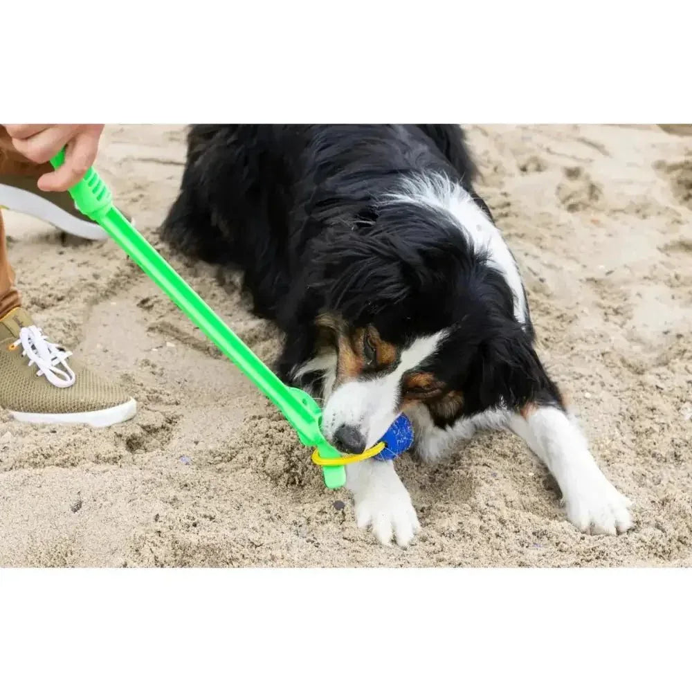 Loop & Launch Single Launchable Small Ball Dog Toy Launcher 2.5" - Talis Us