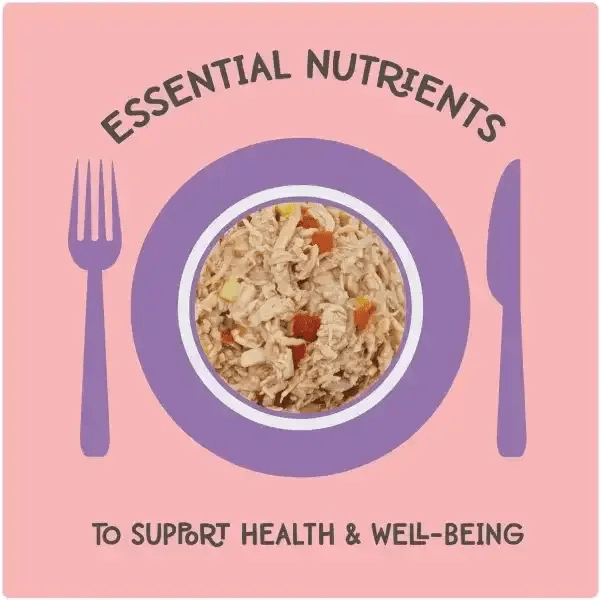 Love, Nala Chicken Flaked with Sweet Potato & Tomato Recipe in Broth Cat Food 2.8oz case of 12 - Talis Us